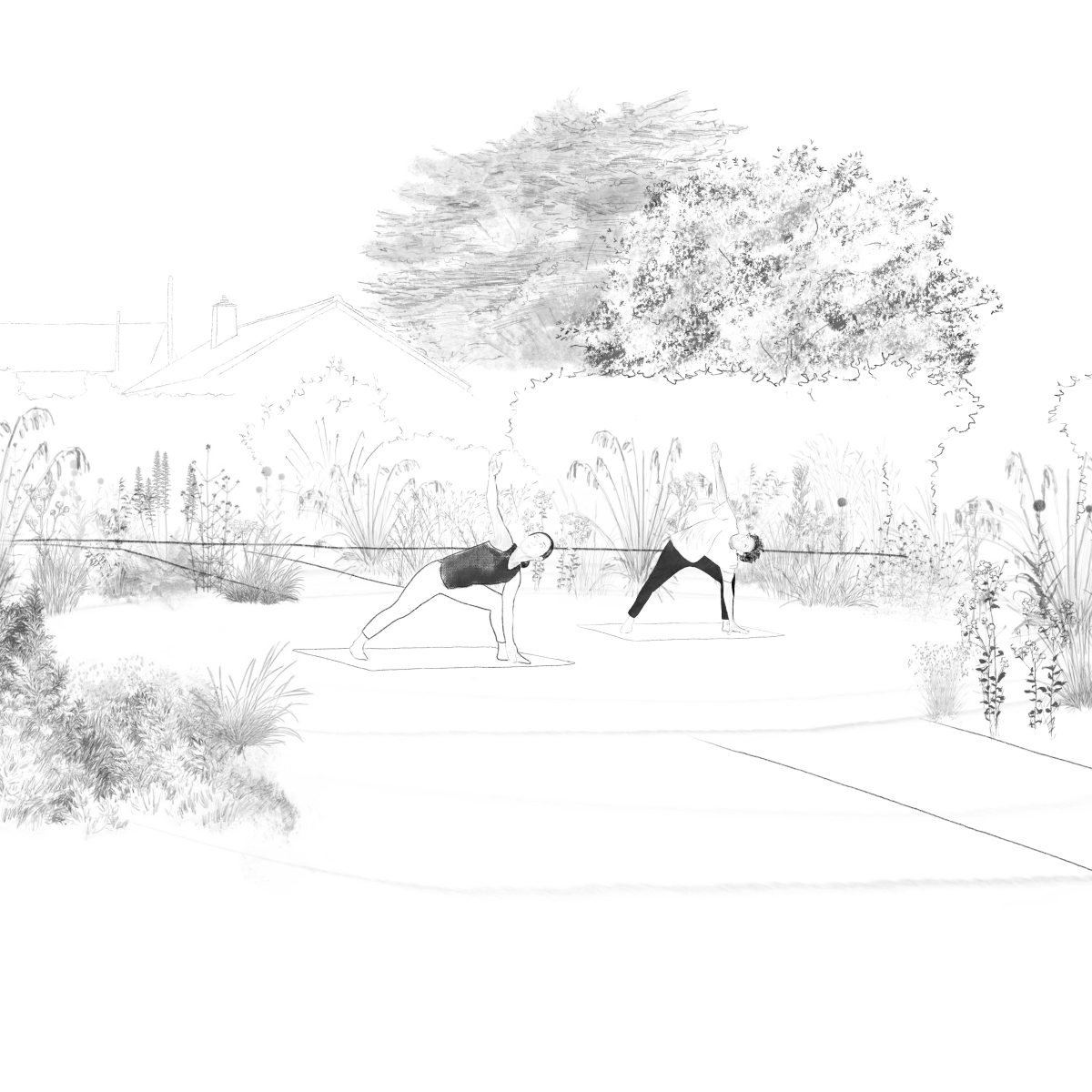 Illogan Wellbeing Gardens