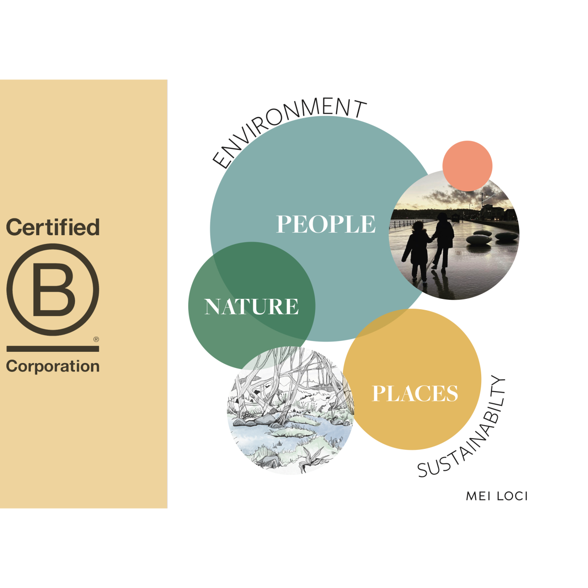 B Corp – Key Highlights from Our First Year!